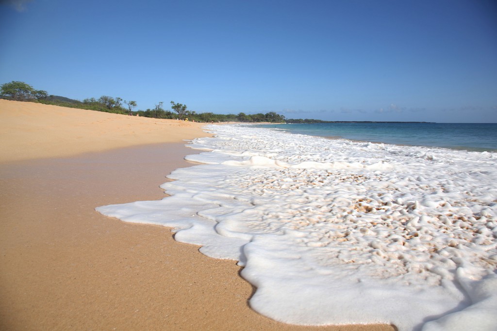 The sand is so pure, you sink as you walk through it. 